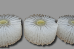 Щетки сегментные с ZZ пазами-04