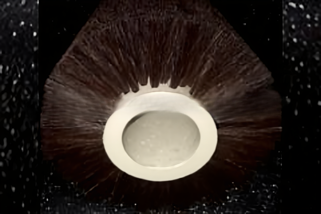 Щеточный вал